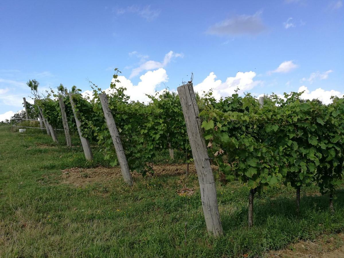 Wine House Rakar Gracisce Exterior foto